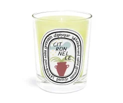Candela Citronelle 2023 Edition Diptyque Collezione Estiva