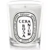Diptyque Geranium Rosa Candela 190 gr - DIPTYQUE Alla Violetta Boutique