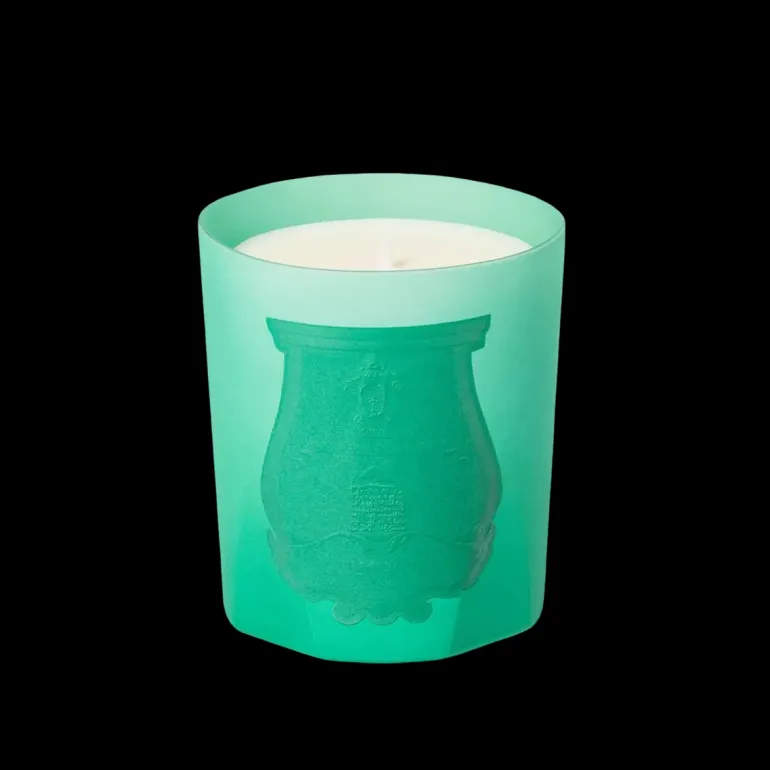 Under The Trees Candle TRUDON - Alla Violetta Boutique Napoli